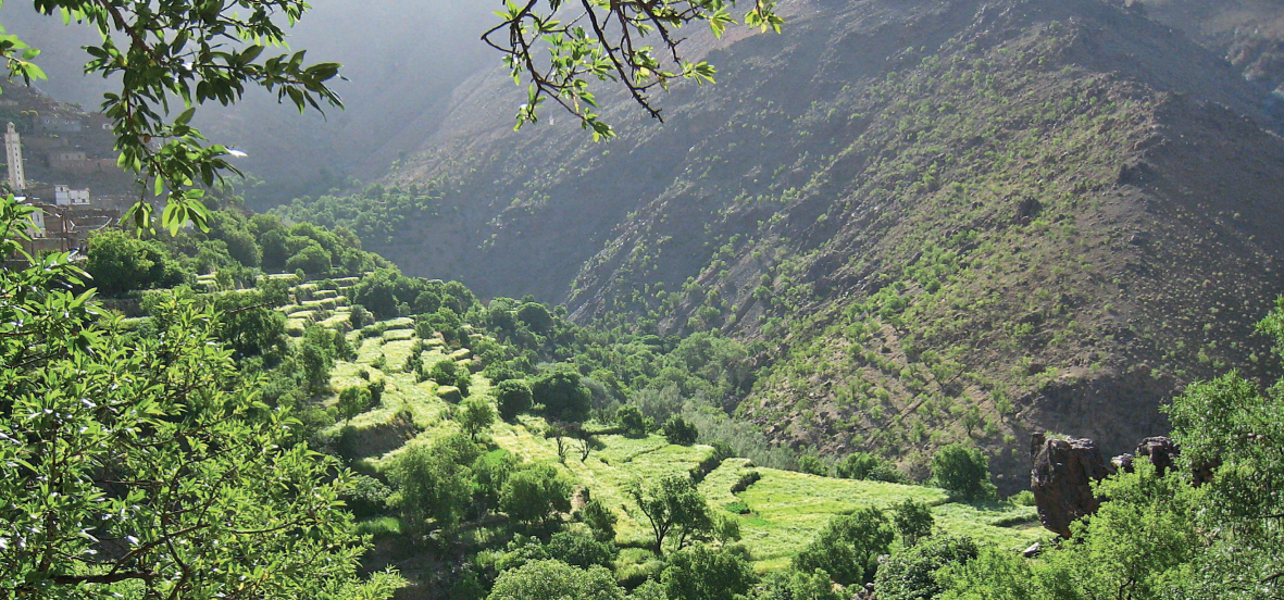 TOUDERT : AGIR POUR LE MASSIF DU SIROUA